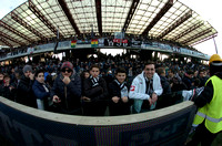 Campionato di Calcio Italiano Serie A
Cesena Calcio vs TORINO

Stadio MAnuzzi - Cesena